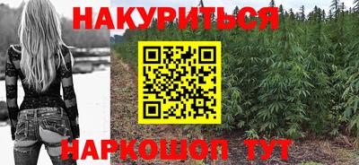 Альфа ПВП Краснознаменск