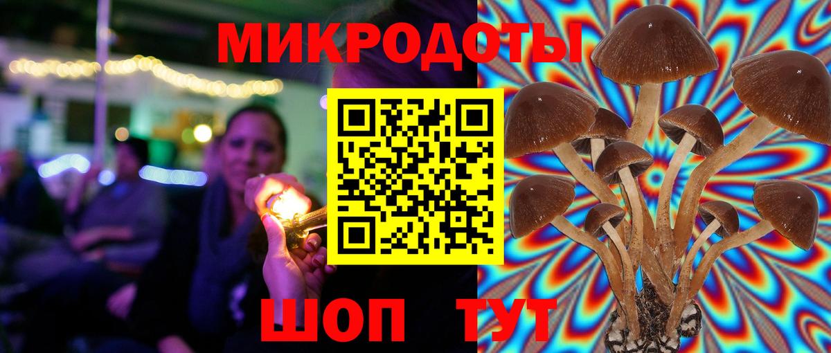 купить наркоту  Псилоцибиновые грибы прущие грибы  Королёв  Вход с VPN  Псилоцибиновые грибы MAGIC MUSHROOMS 