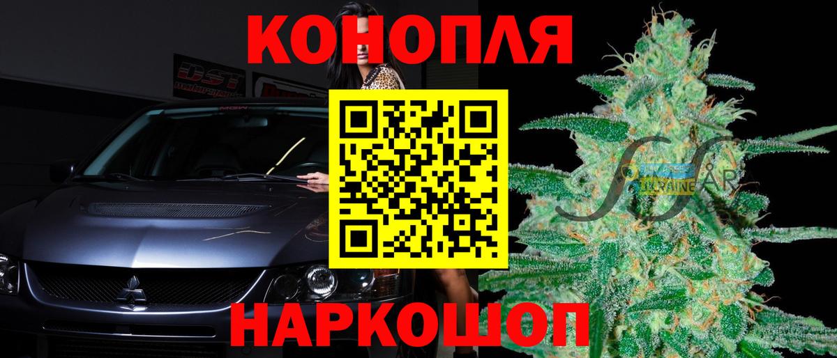 Конопля сатива  Каннабис White Widow  Вход с VPN  Королёв 